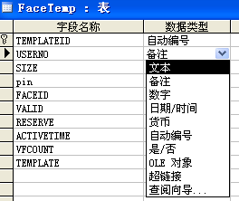 FaceTemp表